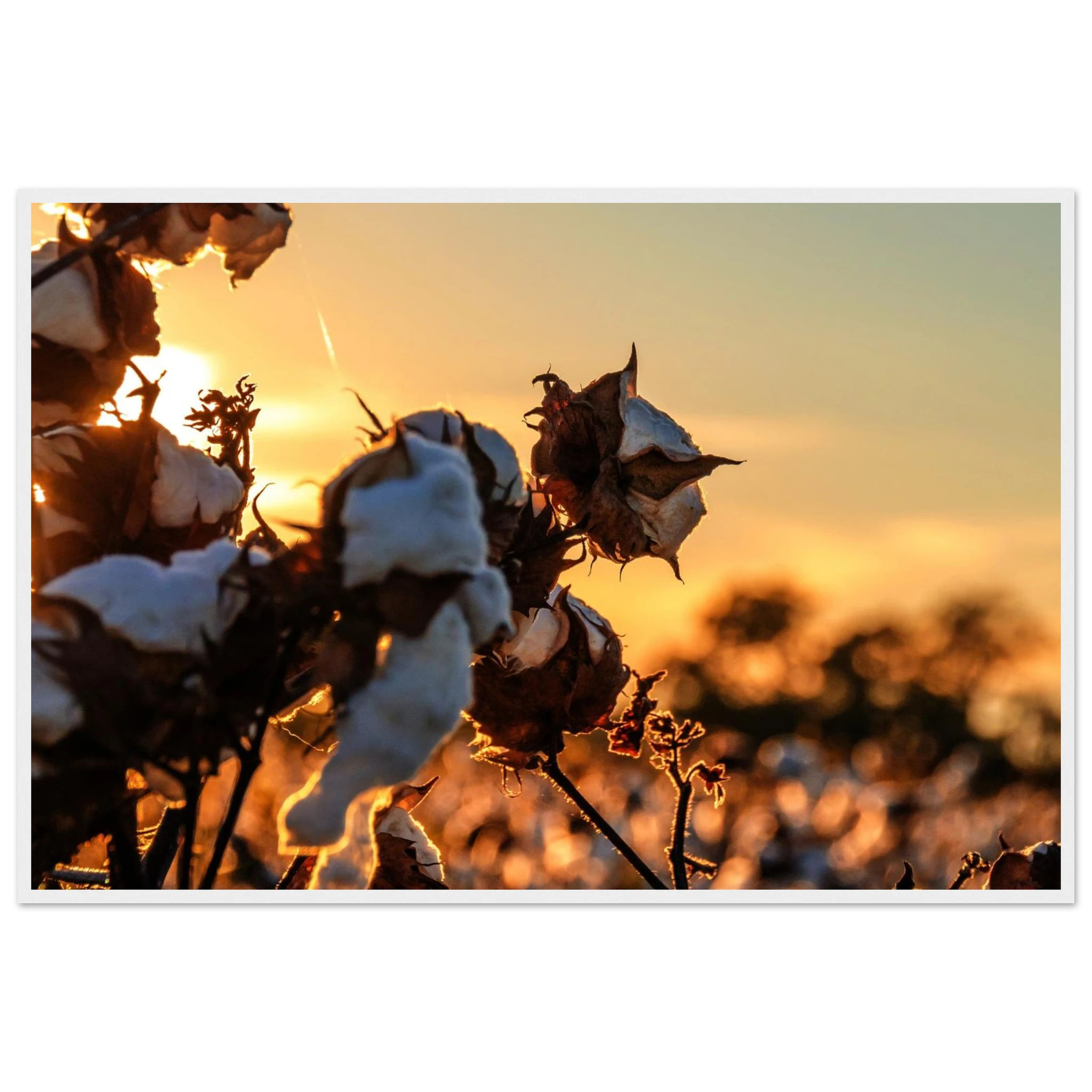 ffc1e047-c1e1-4904-9e15-e69daddc275d