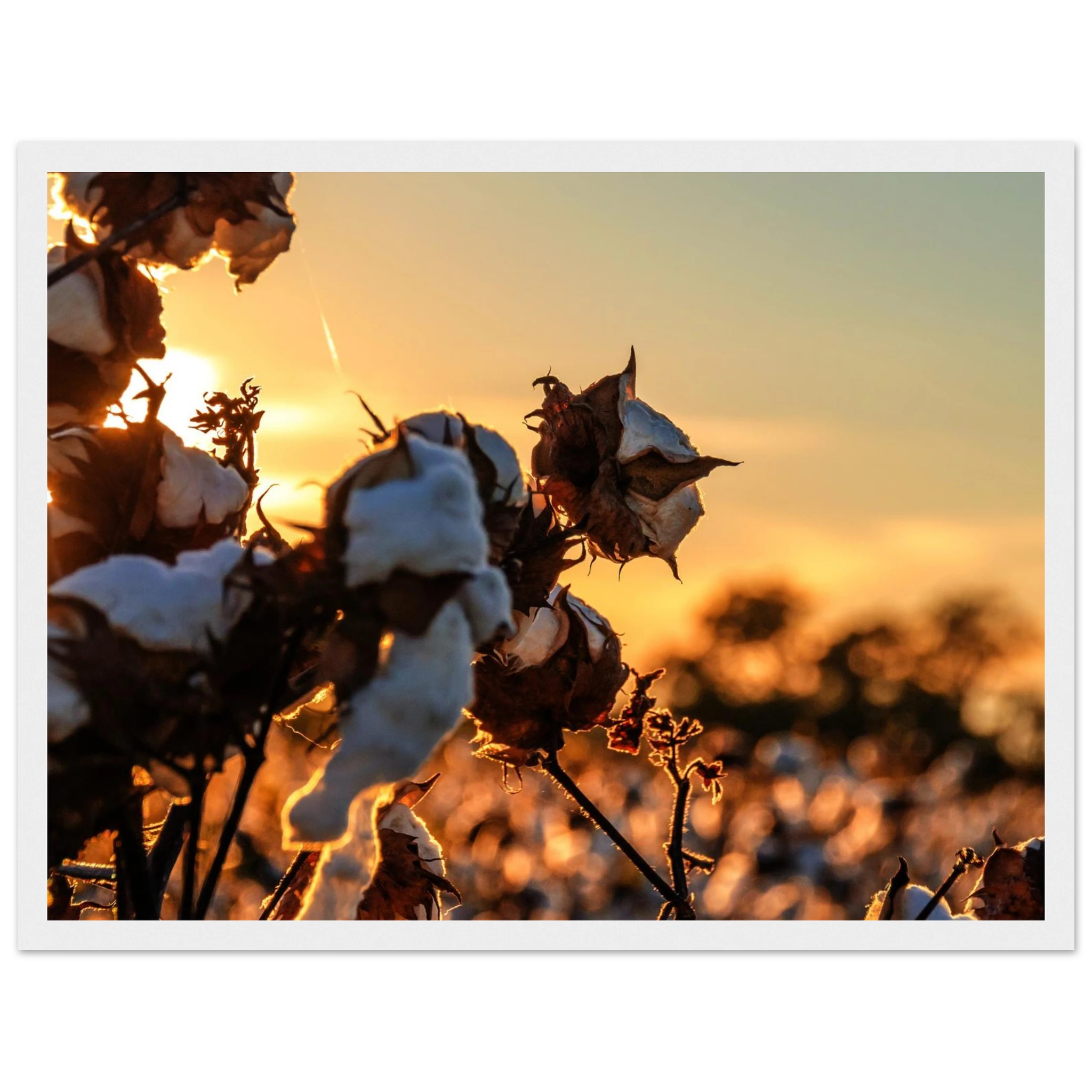 ffdd9139-4792-4112-93c9-710951005308